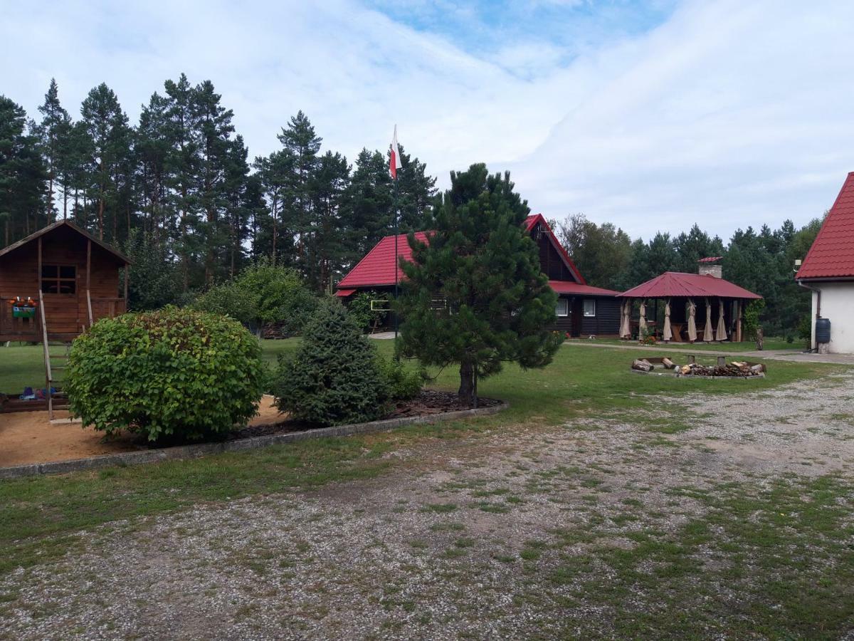 Pokoje W Lesie Miłomłyn Dış mekan fotoğraf