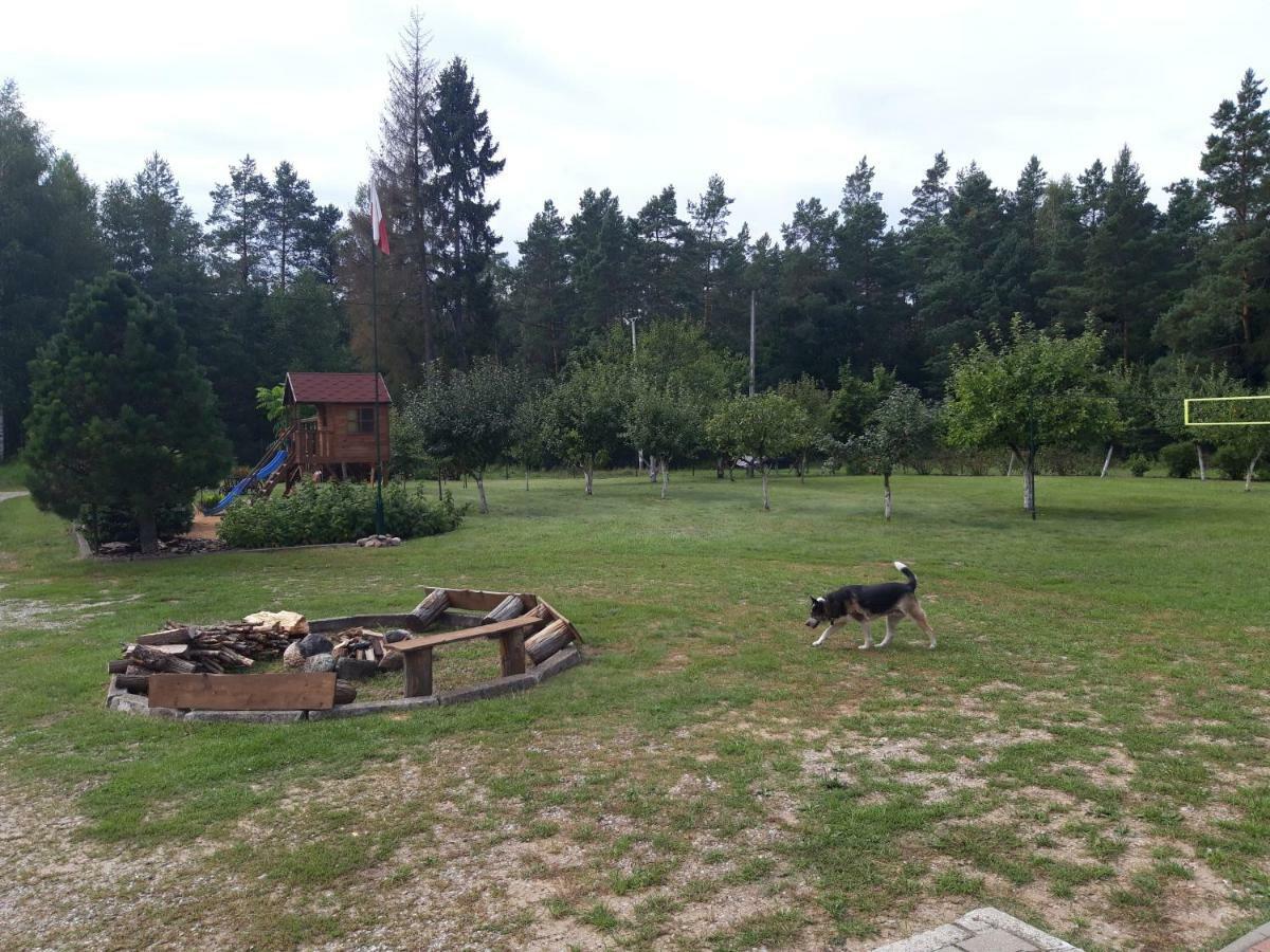 Pokoje W Lesie Miłomłyn Dış mekan fotoğraf